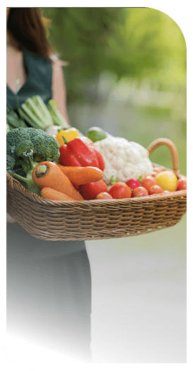 Woman Carrying a Basket of Freshly Picked Vegetables in Independent Living